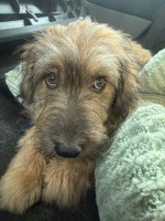 /album/193/whatsapp-image-2026-03-07-at-14-32-53-jpeg/